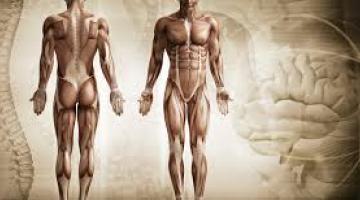 Prevencion de Lesiones en Movimiento